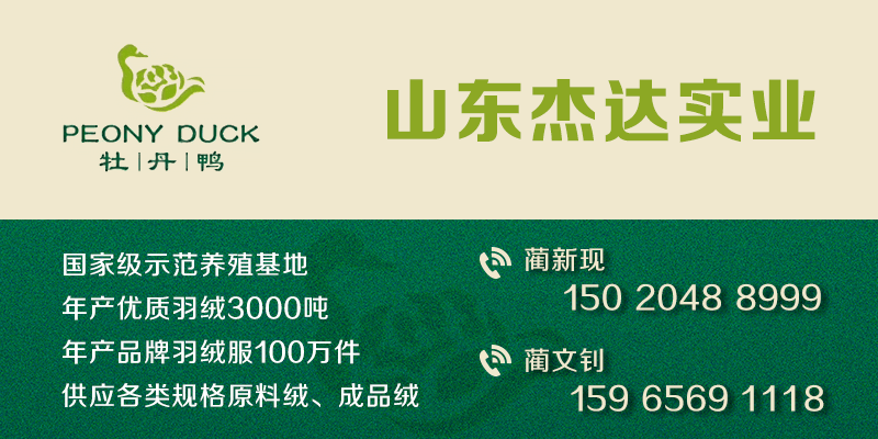 【金网发布】2023年10月13日羽绒价格行情 Price of Down on October 13th 2023